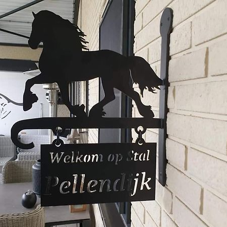 Luxe Gastenkamer Met Living En Keuken Bij Friezen Paarden Stal Pellendijk Westendorp Екстериор снимка