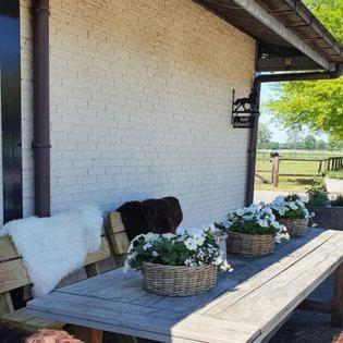 Luxe Gastenkamer Met Living En Keuken Bij Friezen Paarden Stal Pellendijk Westendorp Екстериор снимка